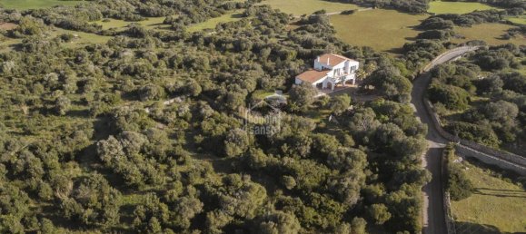 5 Schlafzimmer Villa in Alaior, Spain, Nr. 191 18