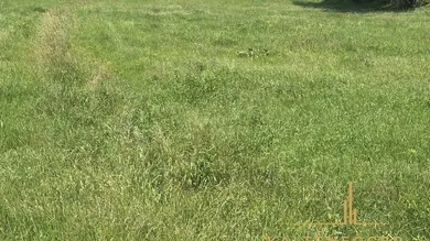  Land in Ternitz, Austria No. 166060