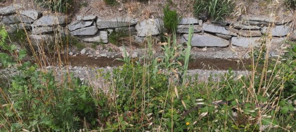 2770m² Land in Livorno, Italy No. 139569 3