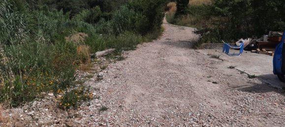 2770m² Land in Livorno, Italy No. 139569 4