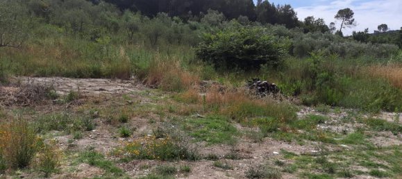 2770m² Land in Livorno, Italy No. 139569 2