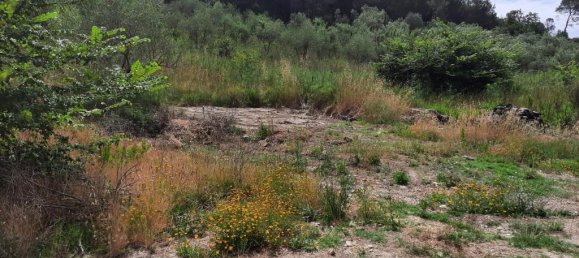 2770m² Land in Livorno, Italy No. 139569 6