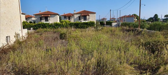 5 bedrooms Commercial property in Chalkidiki, Greece No. 4509 10