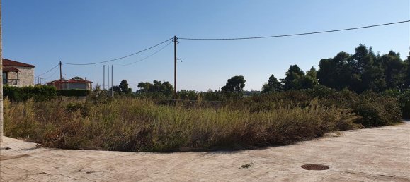 5 bedrooms Commercial property in Chalkidiki, Greece No. 4509 8