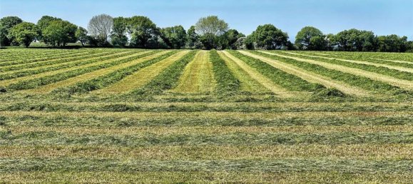 18452m² Land in Sardinia, Italy No. 242265 20