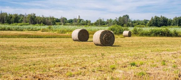 18452m² Land in Sardinia, Italy No. 242265 34