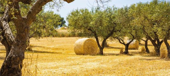 18452m² Land in Sardinia, Italy No. 242265 26