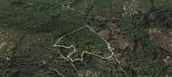  فندق في Corfu, Greece 25969متر مربع رقم 4344 3