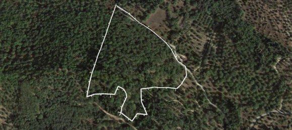  فندق في Corfu, Greece 25969متر مربع رقم 4344 2