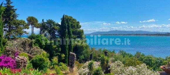 5 bedrooms Villa in Monte Argentario, Italy No. 13342 4