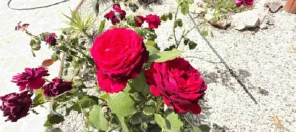 Casa de 5 dormitorios en Águilas, Spain No. 171697 9