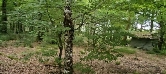 Casa T5 em Huisseau-sur-Mauves, France N.º 75155 8