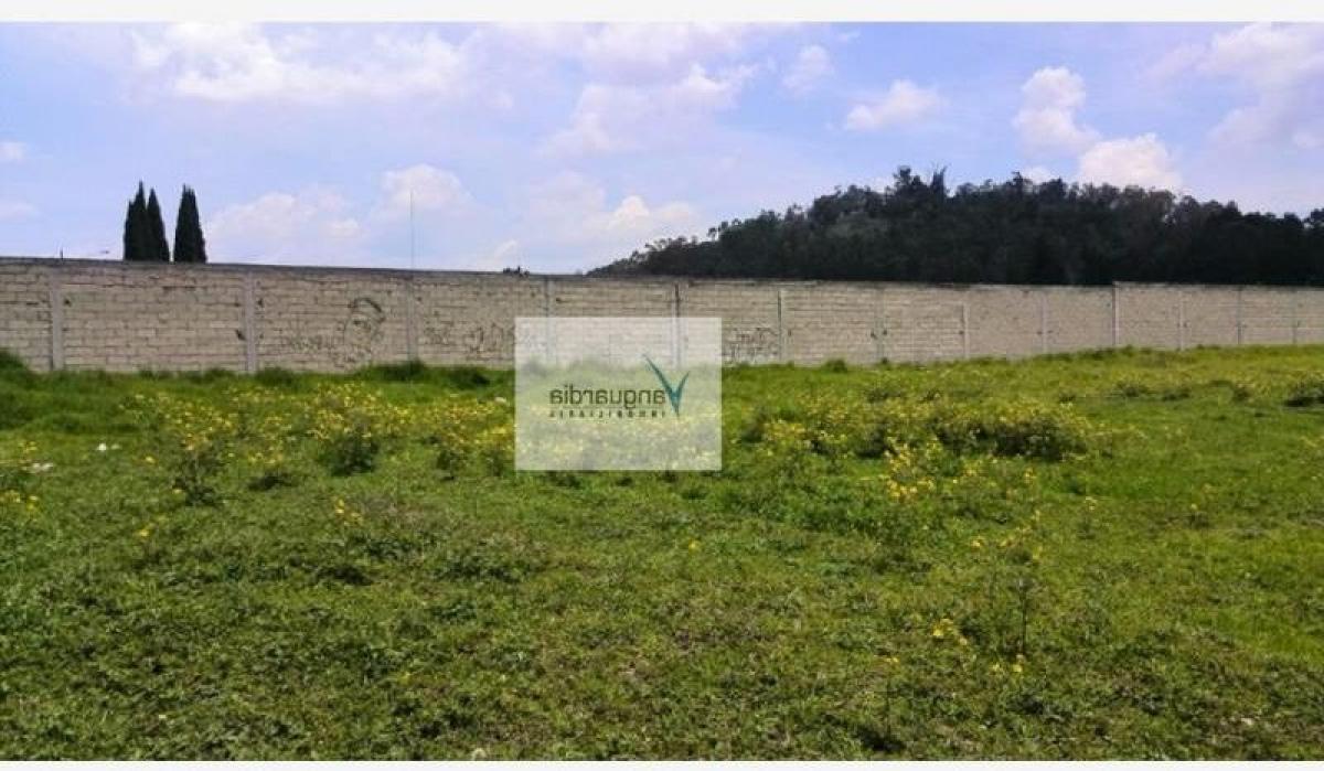 Terreno em Mexico N.º 206197