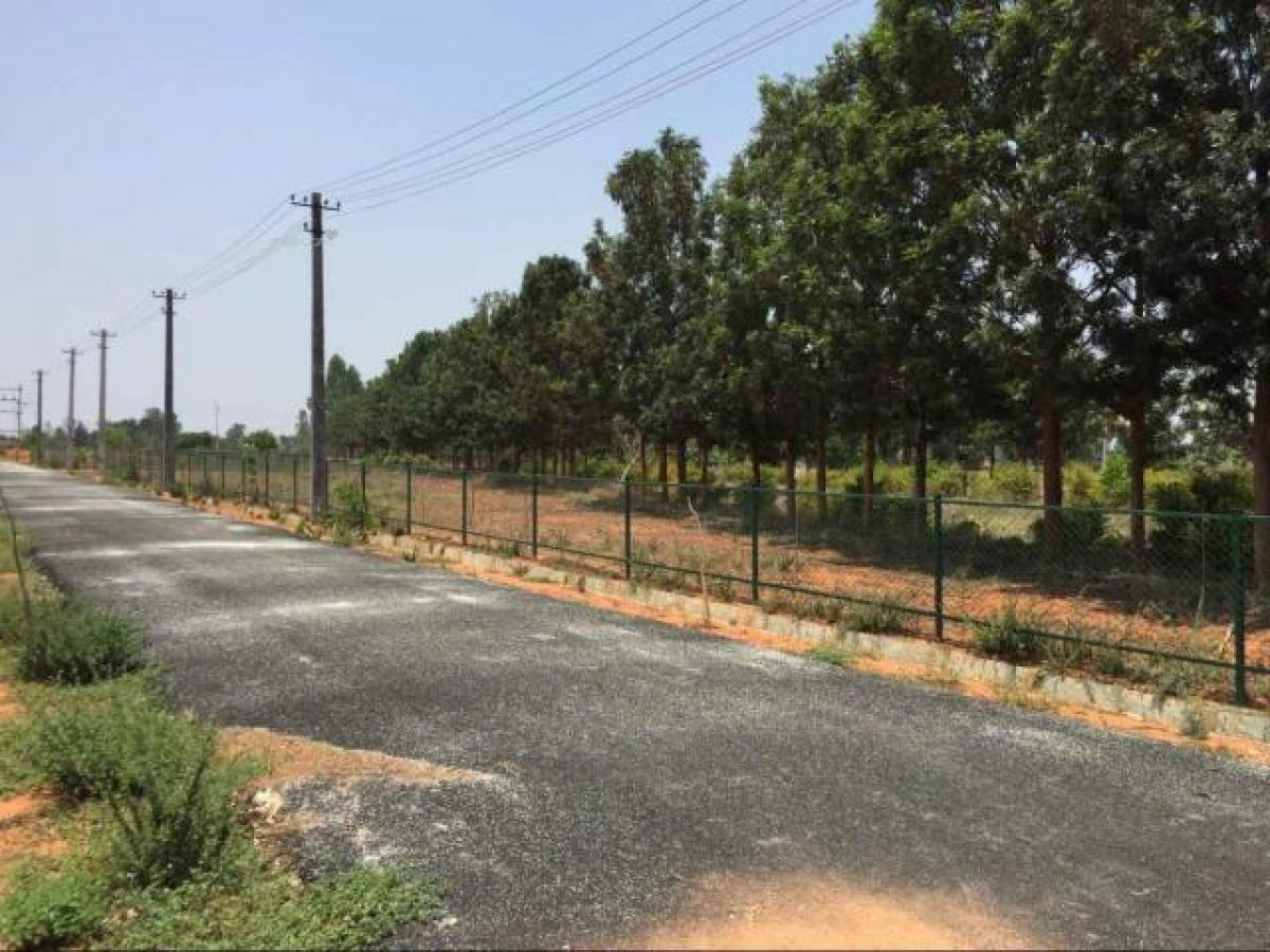 Terreno em Bangalore, India N.º 32752