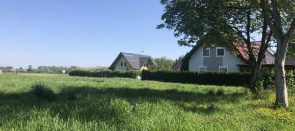  Land in Strass in Steiermark, Austria No. 128111 3