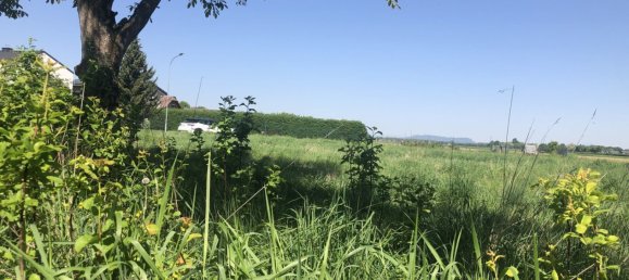  Land in Strass in Steiermark, Austria No. 128111 2