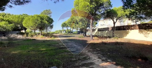 890m² Land in Almancil, Portugal No. 57801 11