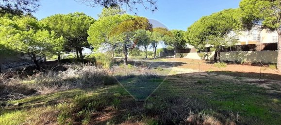 890m² Land in Almancil, Portugal No. 57801 10