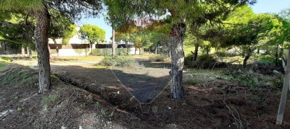 890m² Land in Almancil, Portugal No. 57801 6