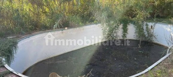 3 غرف نوم فيلا في Riparbella, Italy رقم 211721 16