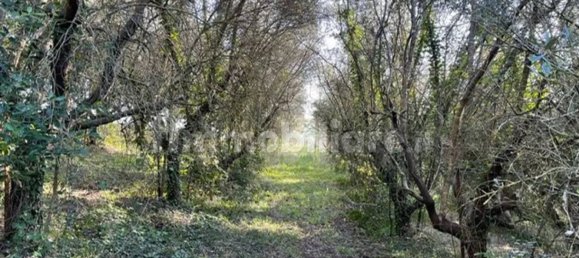 3 غرف نوم فيلا في Riparbella, Italy رقم 211721 37