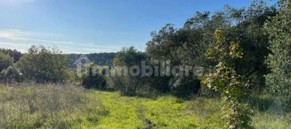 3 غرف نوم فيلا في Riparbella, Italy رقم 211721 21