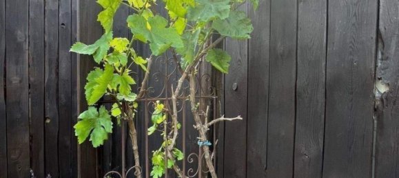 Casa de 8 divisões em Ludwigslust-Parchim, Germany N.º 356799 3