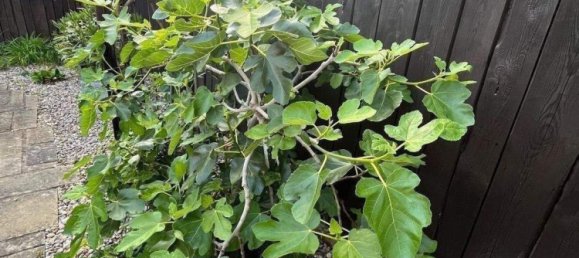 Casa de 8 divisões em Ludwigslust-Parchim, Germany N.º 356799 4