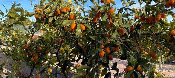 Дом с 4 спальнями в Альбатера, Испания № 149883 15