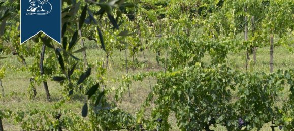 Villa T9 em Capannori, Italy N.º 362924 13