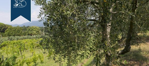 Villa T9 em Capannori, Italy N.º 362924 15