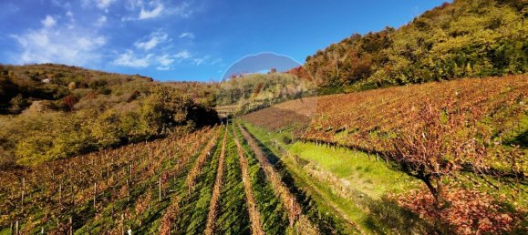 Imóvel comercial em Castelli Calepio, Italy 32168 m² N.º 52611 11