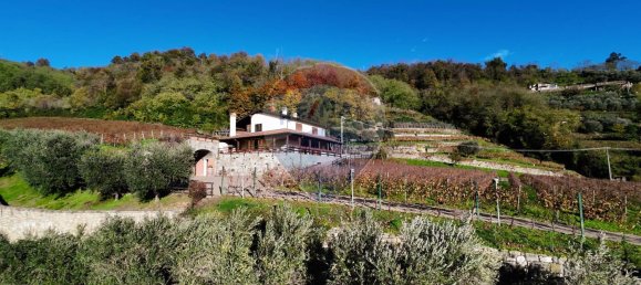 Imóvel comercial em Castelli Calepio, Italy 32168 m² N.º 52611 8