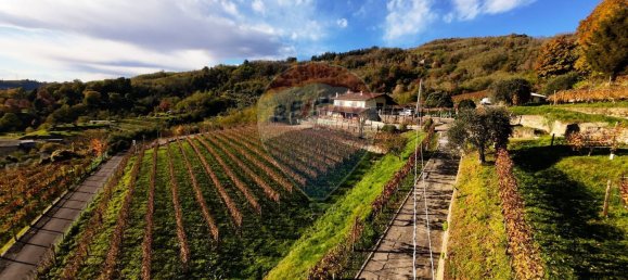 Imóvel comercial em Castelli Calepio, Italy 32168 m² N.º 52611 6