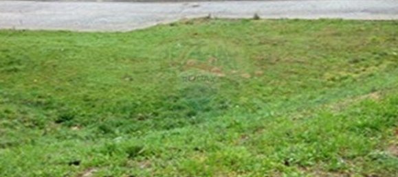 450m² Land in Satao, Portugal No. 54157 4