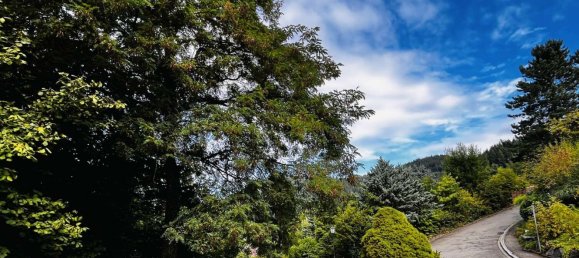  Land in Breisgau-Hochschwarzwald, Germany No. 296735 2