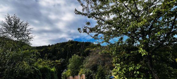  Land in Breisgau-Hochschwarzwald, Germany No. 296735 4