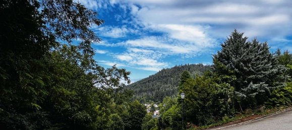  Land in Breisgau-Hochschwarzwald, Germany No. 296735 5