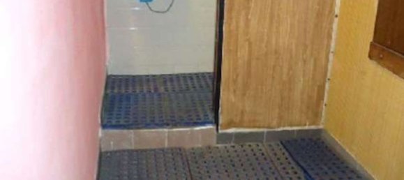 408m² Commercial property in Artena, Italy No. 298908 11