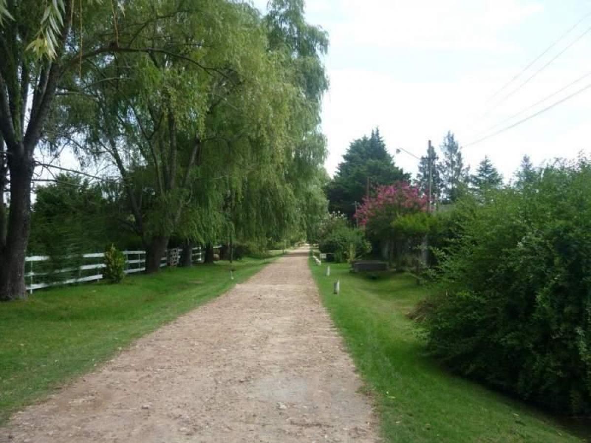  قطعة أرض في Campo Creado, Argentina رقم 31946