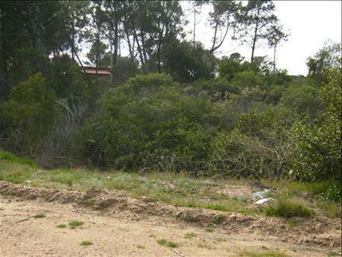  Land in Maldonado, Uruguay No. 15392