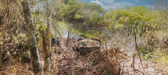 6394m² Hotel in Saint Joseph, Dominica No. 58 6