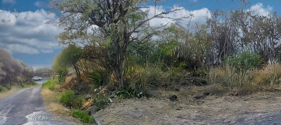 6394m² Hotel in Saint Joseph, Dominica No. 58 7