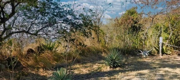 6394m² Hotel in Saint Joseph, Dominica No. 58 5