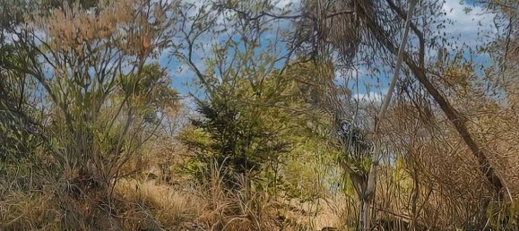 6394m² Hotel in Saint Joseph, Dominica No. 58 10