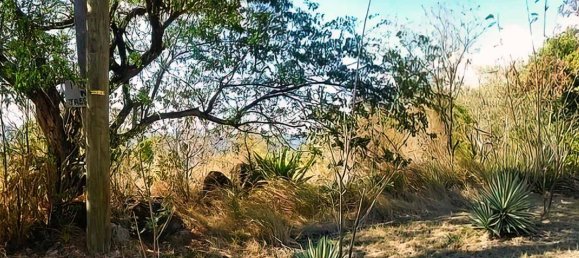 6394m² Hotel in Saint Joseph, Dominica No. 58 4