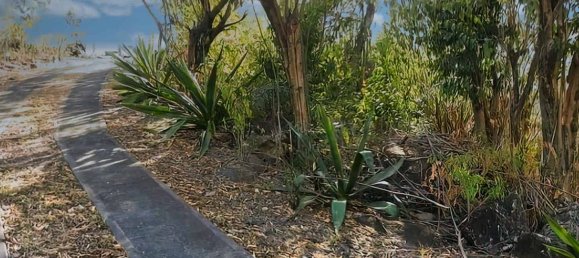 6394m² Hotel in Saint Joseph, Dominica No. 58 2