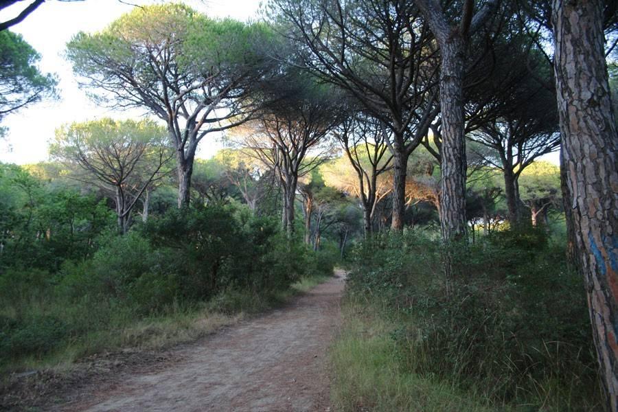 30m² Land in Grosseto, Italy No. 27715