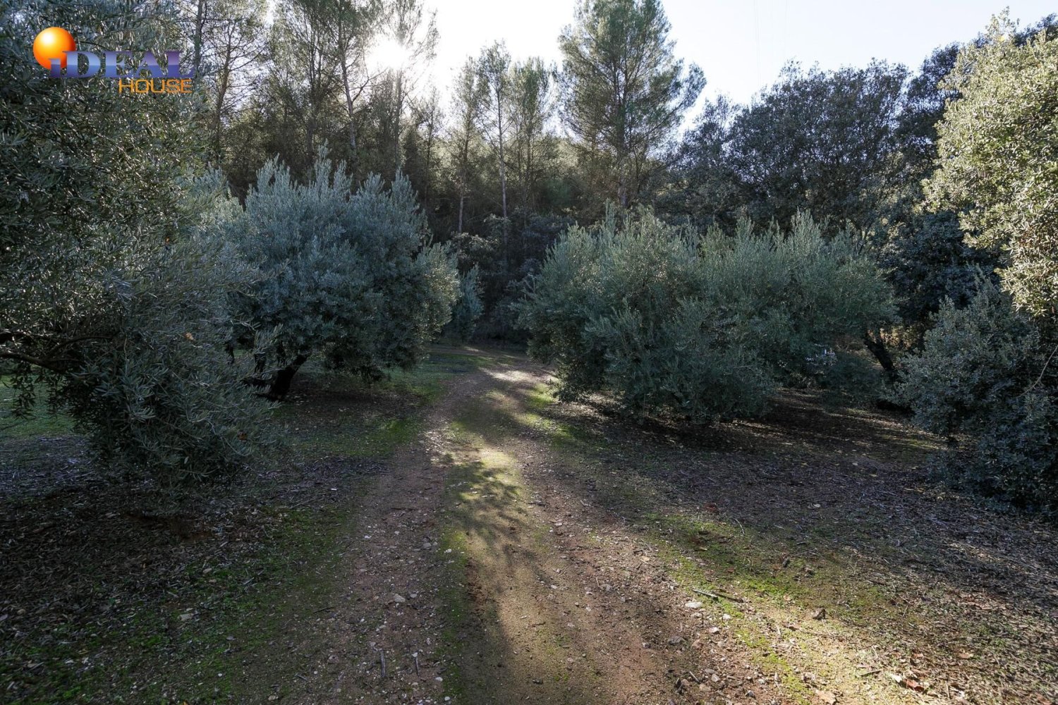 Земельный участок 26000м² в Альболоте, Испания № 108067