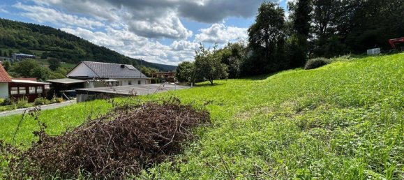 Земельный участок в Forchheim, Германия № 228728 8